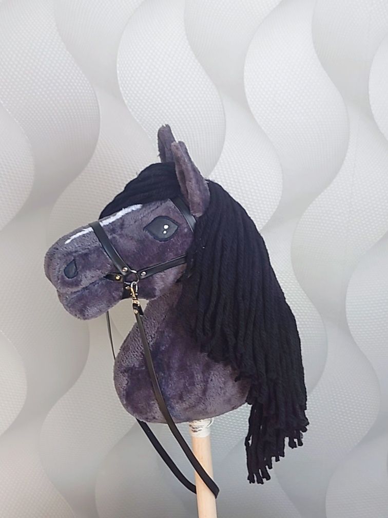 Hobby horse konik