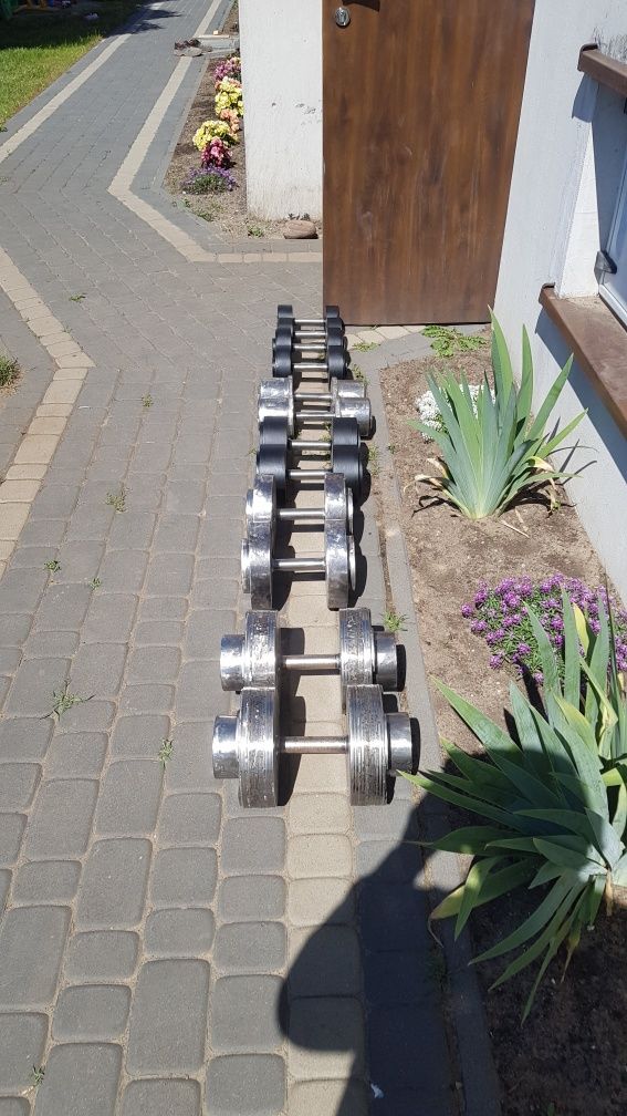 Hantle od 10 do 45kg (pary)