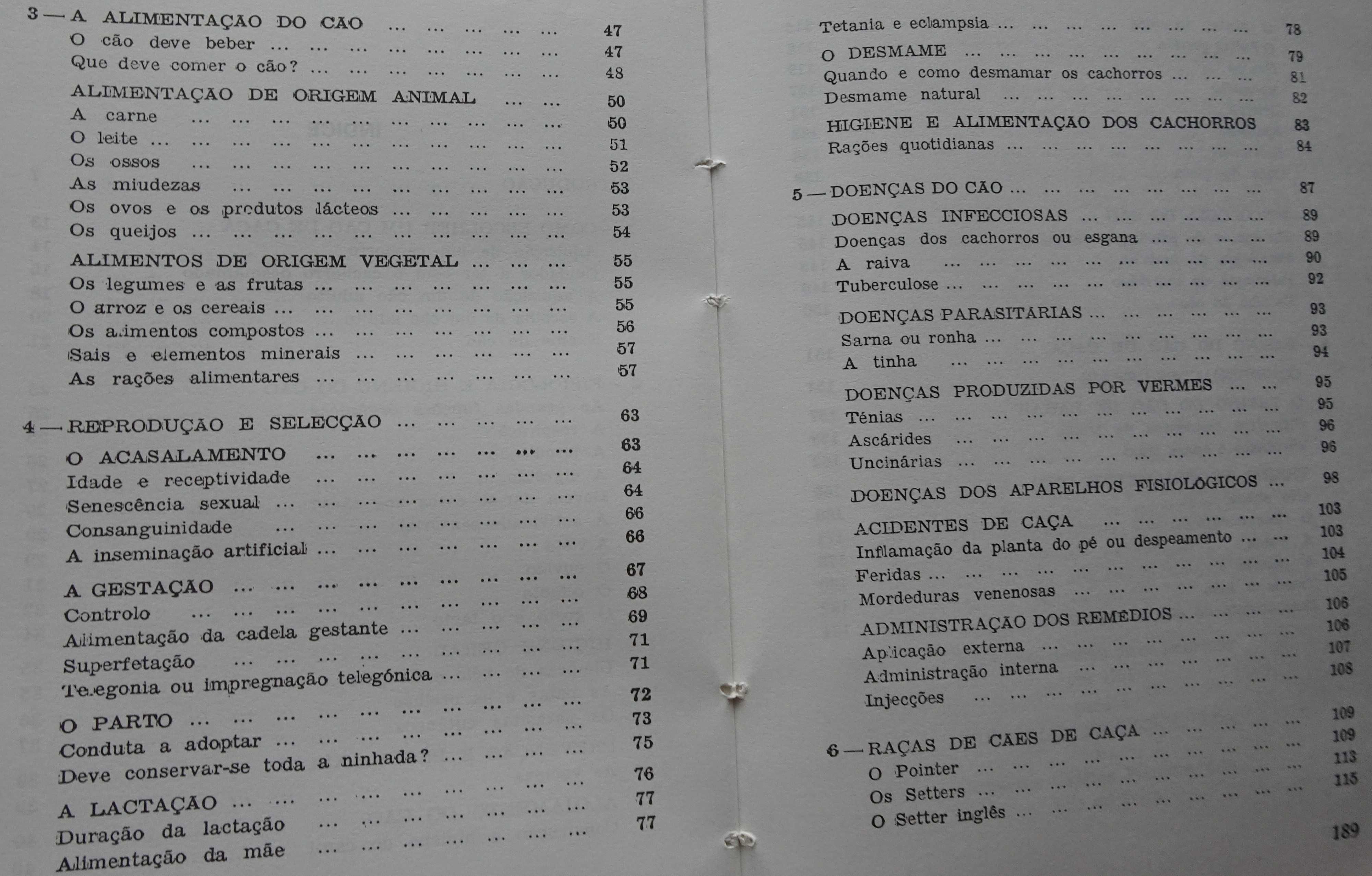 Cães de Caça de Santiago Pons