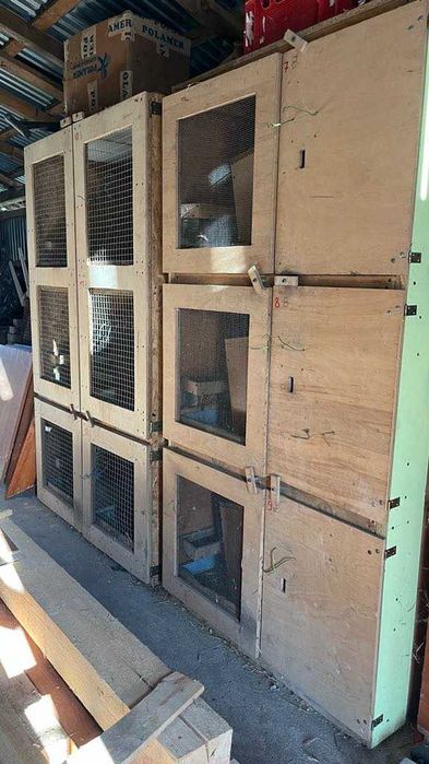 Klatki dla królików