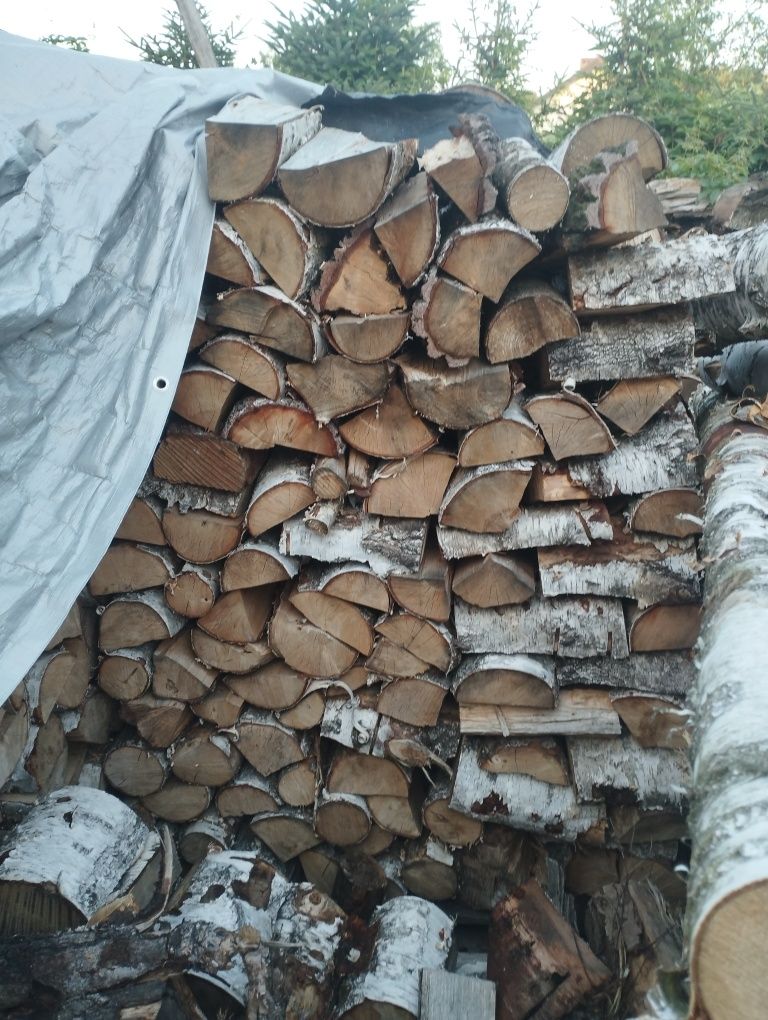 Witam. Sprzedam brzozę sucha