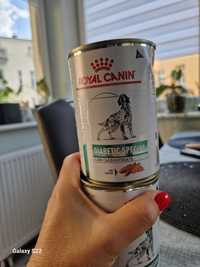 Karma dla psa royal canin