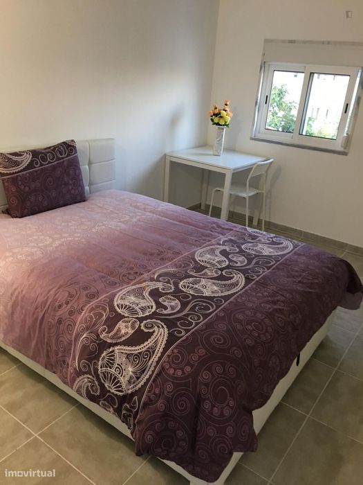 49991 - Female student residence -Room 8