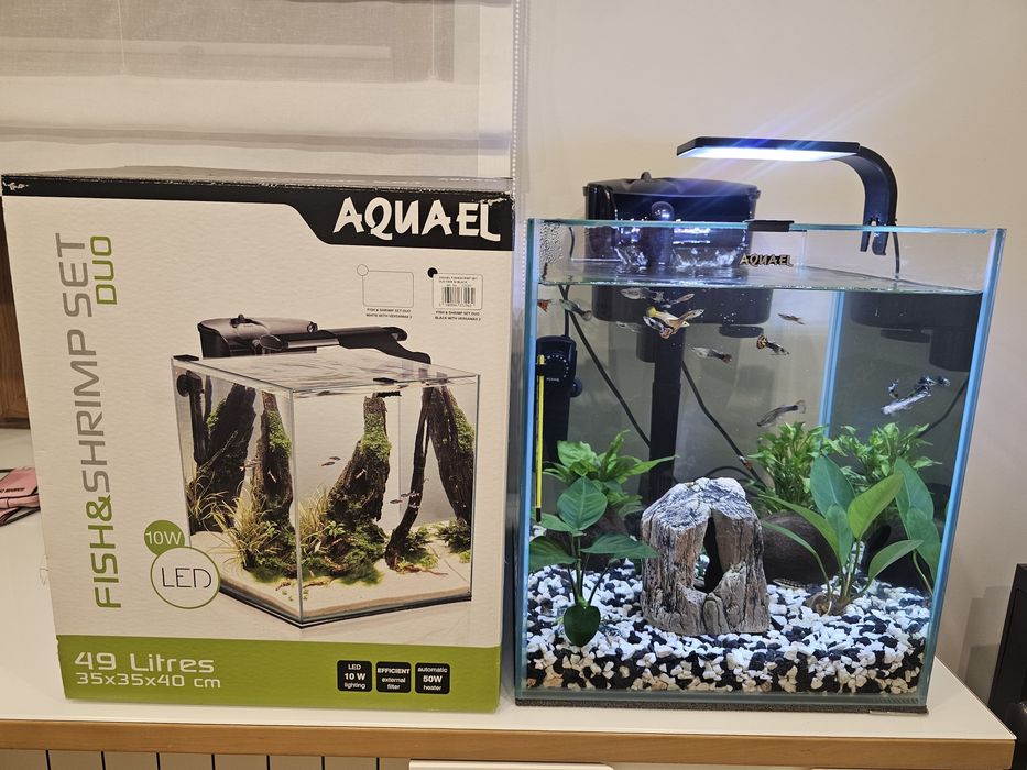 Akwarium Aquael 49l z osprzętem- okazja!!!