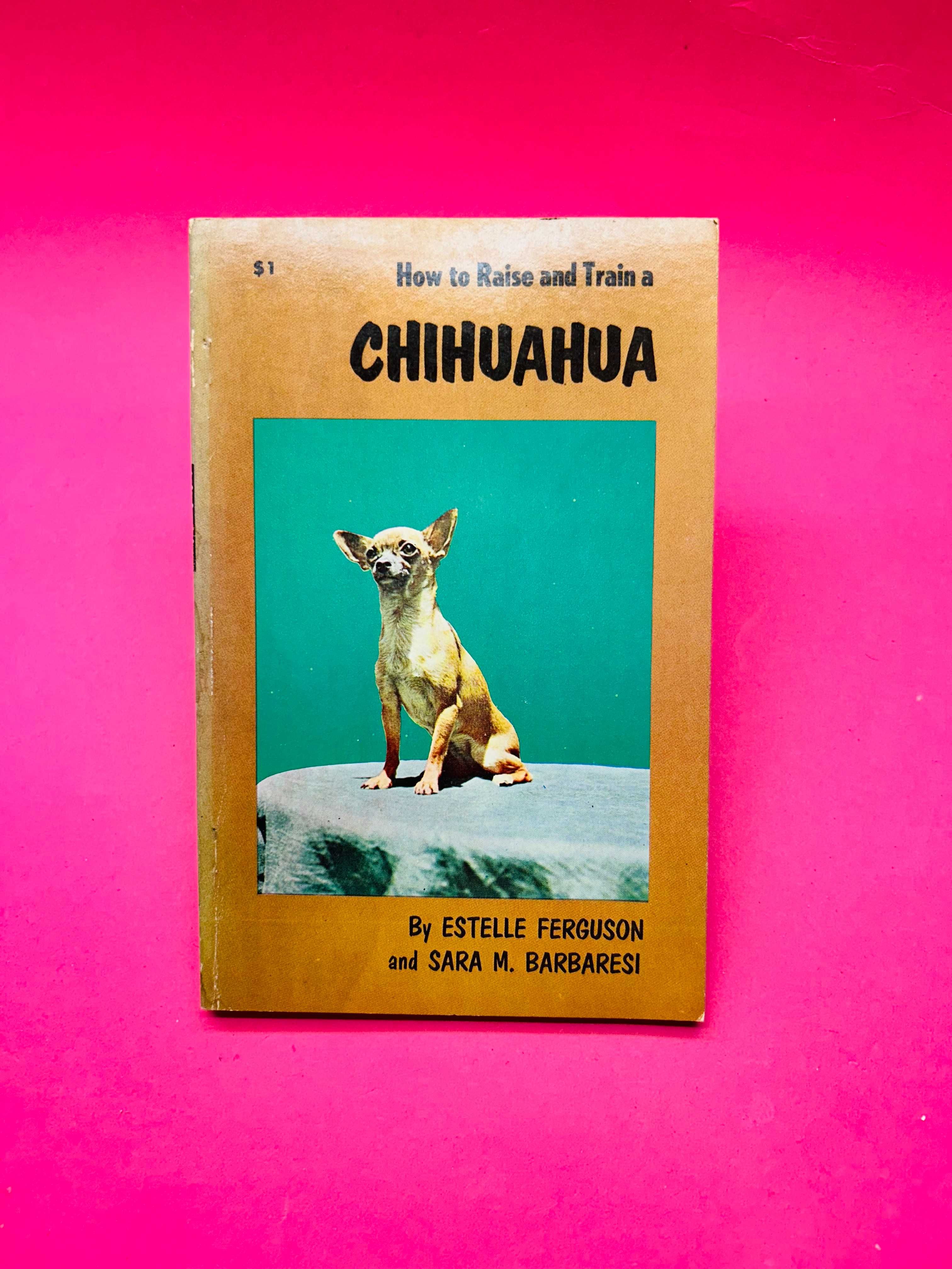 How to Raise and Train a Chihuahua