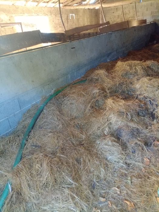 Palha agricultura