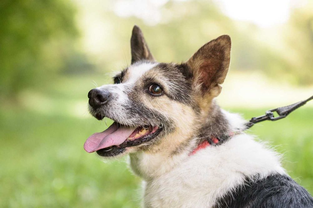 GAYA - spokojna, cichutka dla spokojnych ludzi