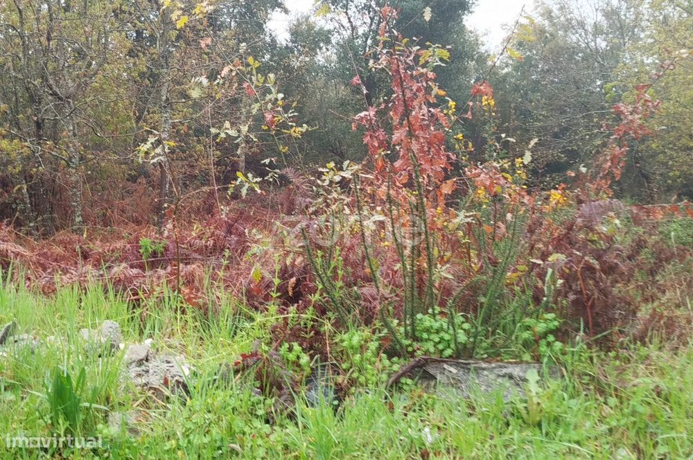 Terreno Urbanizável – O Local Perfeito para Construir a Sua Moradi...