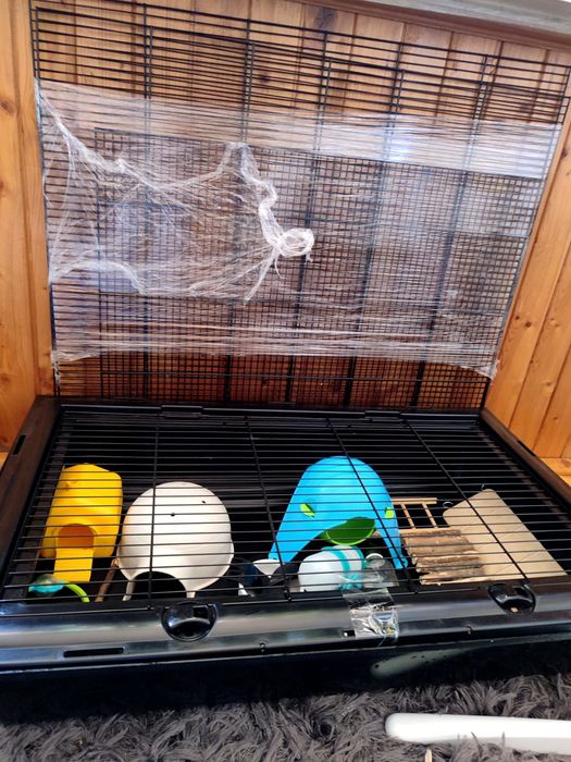 Klatka dla gryzoni (myszy, młode szczury)