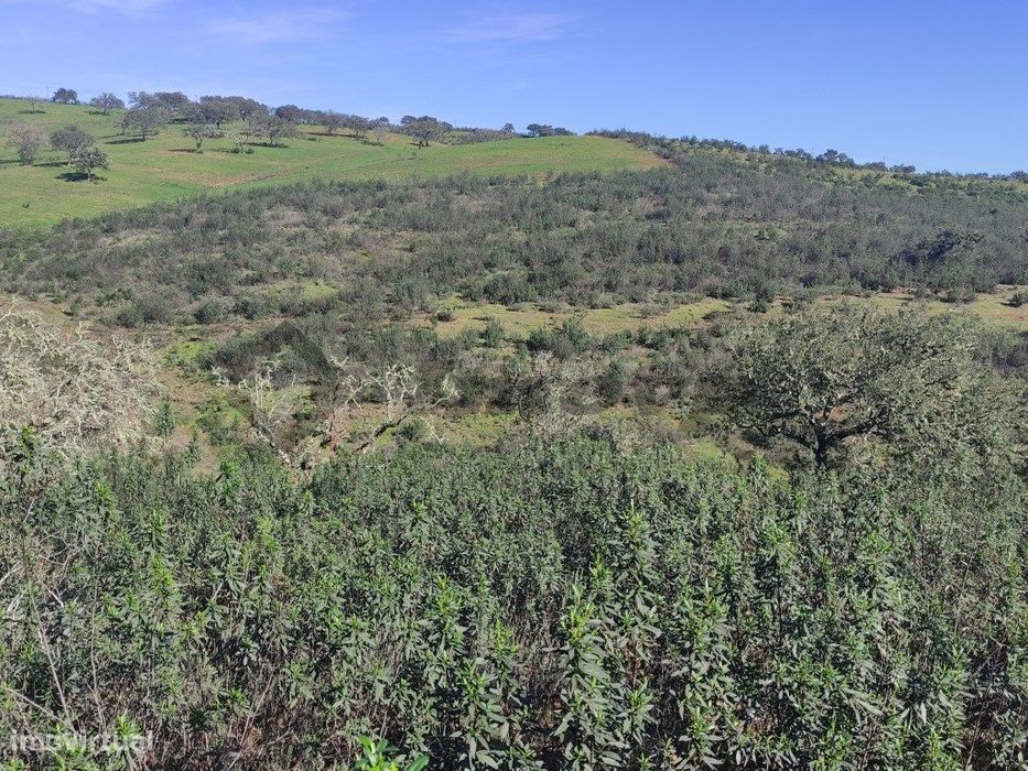 Terreno rústico de 1,85Ha localizado a1 Km da localidade da Dogueno