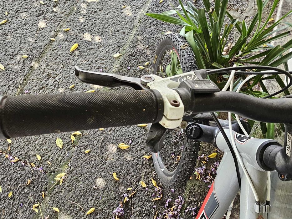 Bicicleta Berg Trail Rock