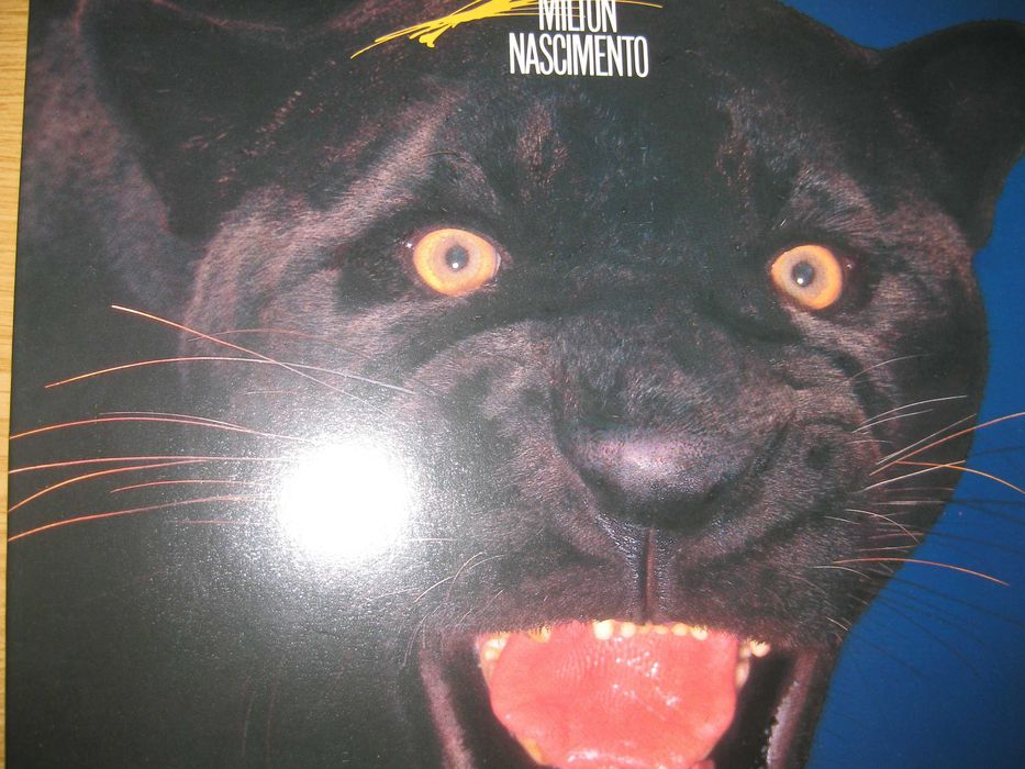 A melhor musica do Brasil - 28 LPs  em estado novo.