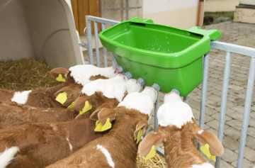 Poidło dla cieląt z zaworami i gumowymi smoczkami , "Multi Feeder",