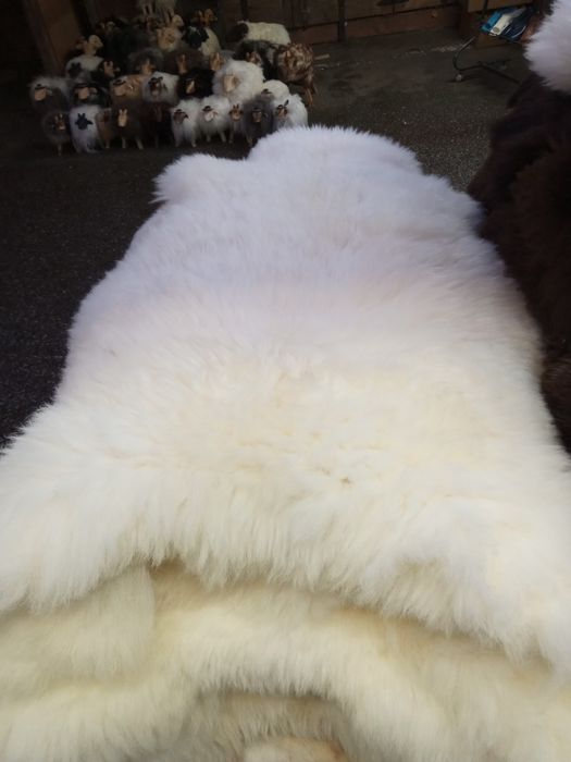 Skóra owcza naturalna 100-110 dlygosci