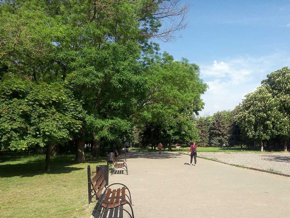 Вилика однокімнатна квартира быля парку, підходить під Е-Відновлення