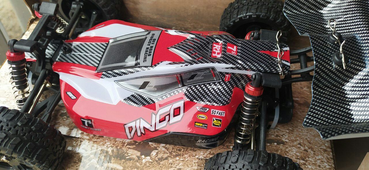 Remo Hobby Dingo 1651 Buggy