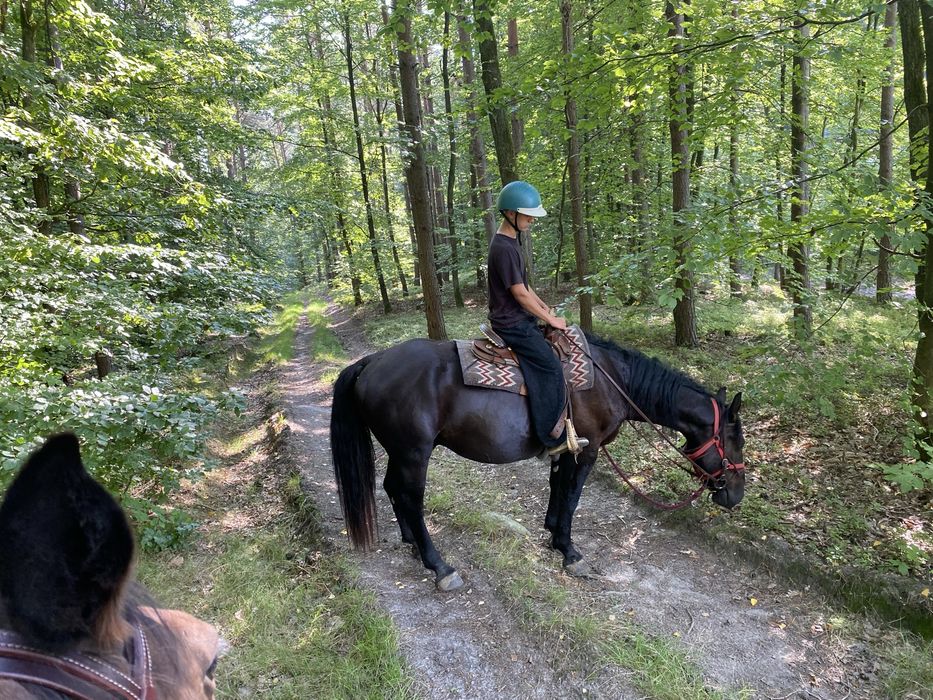 Walach slazak 4,5/zamiana