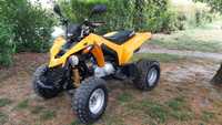 Can-Am DS Sym Access Inny Kymco Adly Dinli Aeon Samochodowy Inny  PL