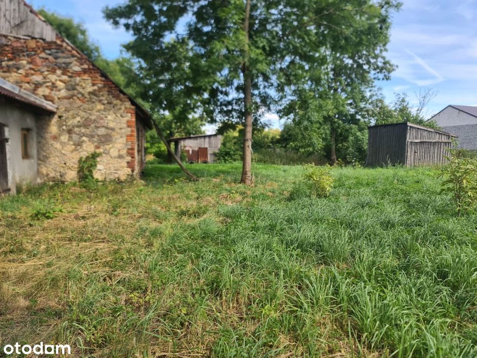 Działka 20 ar, zabudowania, Kadłub