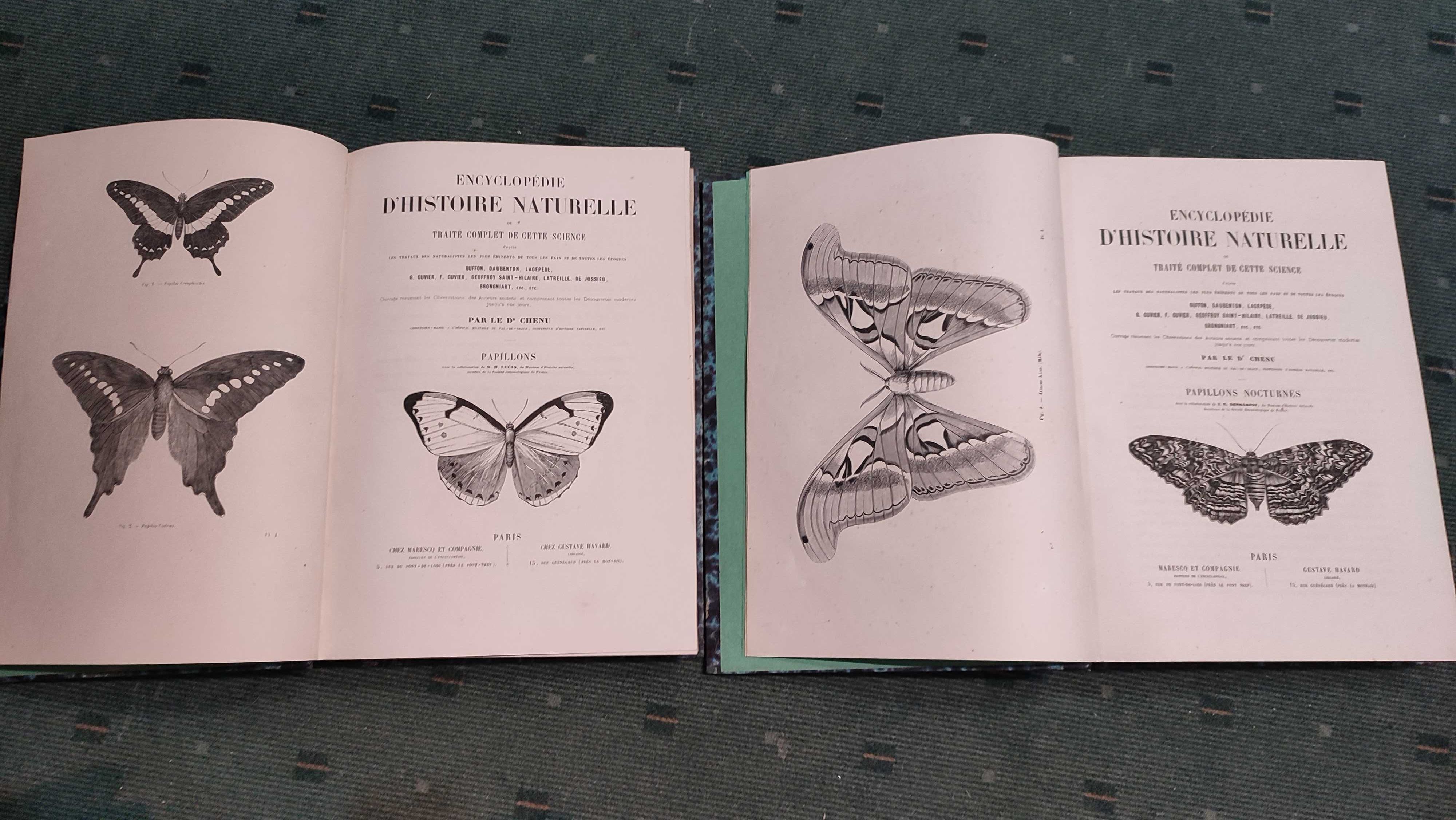 Encyclopédie D'Histoire Naturelle Traité Complet -Papillons - 2 Vol