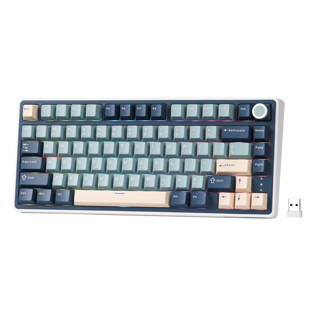 Royal Kludge RK R75 Pro