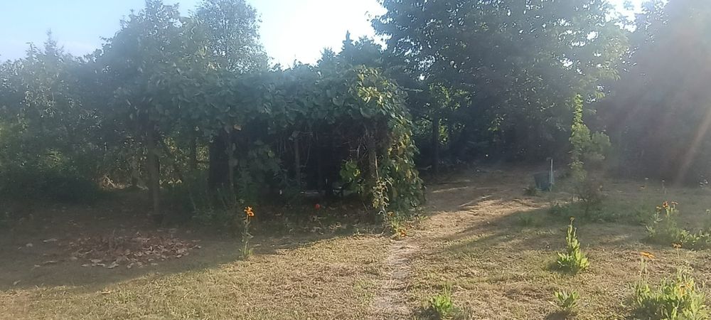 Ogródek R.O.D Oaza Uniszowice