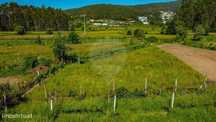Terreno  para venda