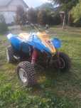 Polaris trialblazer 250 2t