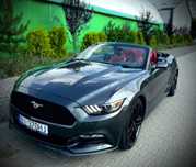 Ford Mustang Ford Mustang