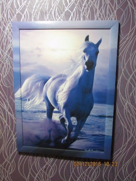 Койко-место в 4-х местной комнате. Хозяйка. М. Демиевская. Автовокзал-2-555.biz.ua