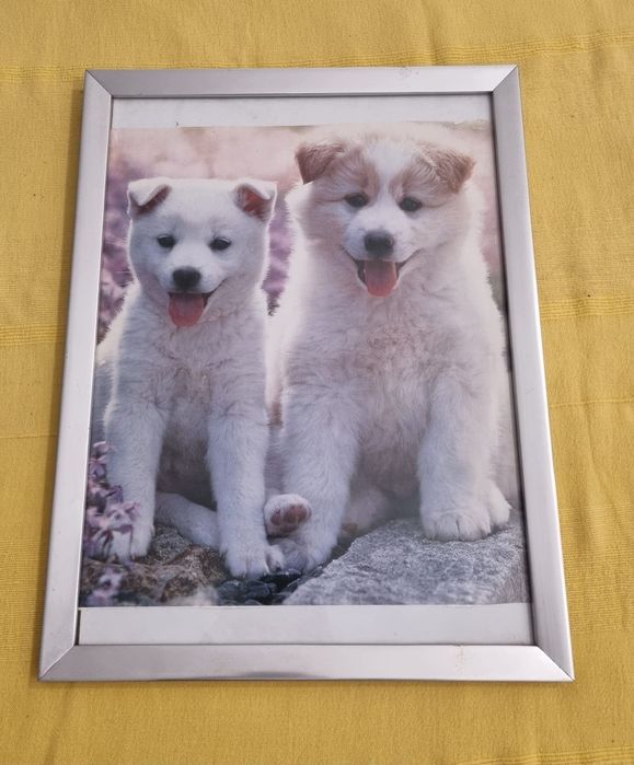 Quadro Medidas nas fotos
