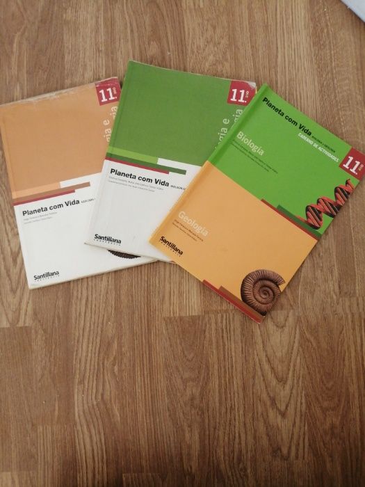 Manuais 10 e 11 ano, português, filosofia, física e química, bio...