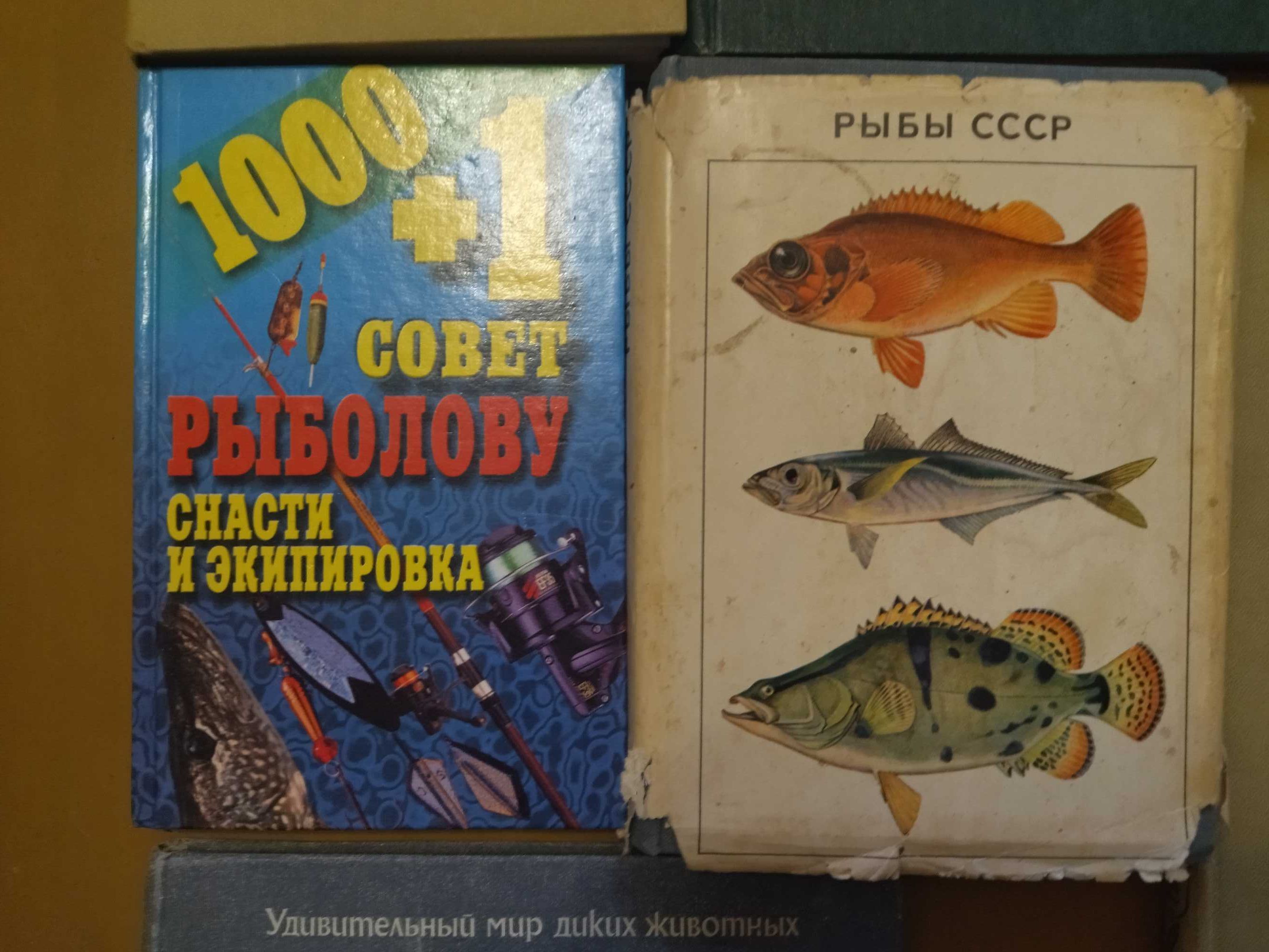 Животные. Супер подборка по супер цене