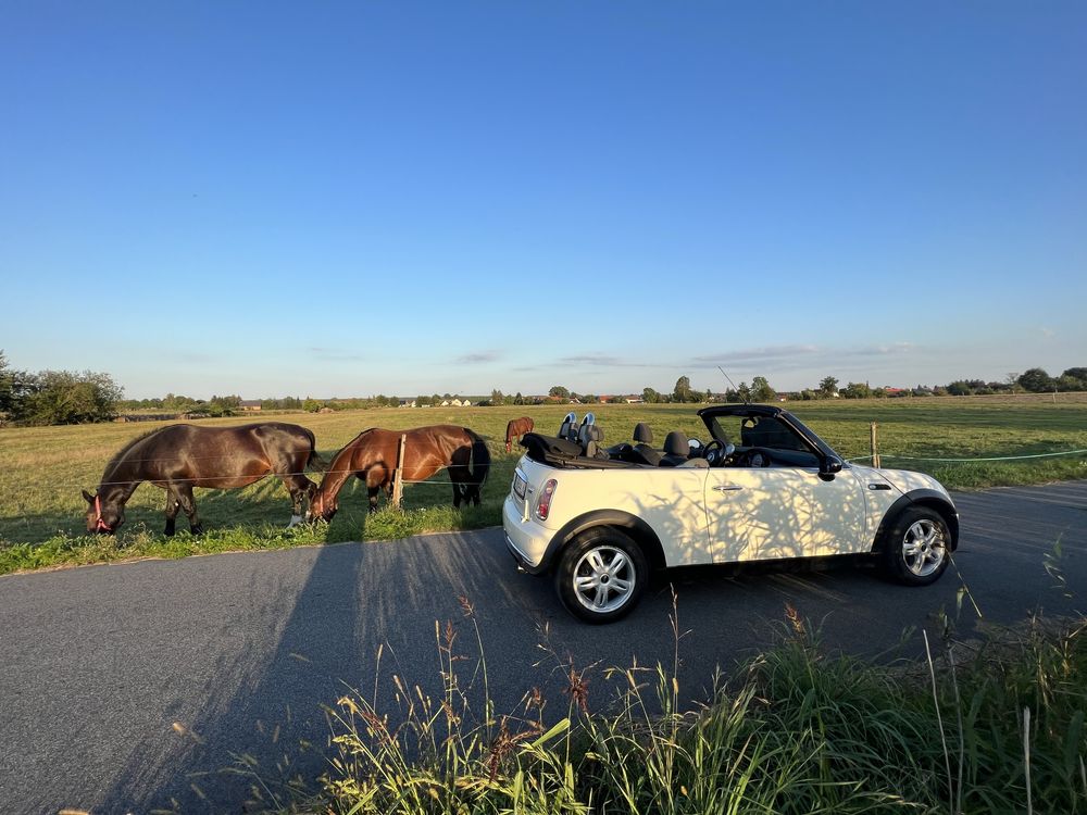 Mini One Cabrio R52 kabriolet zadbany garażowany