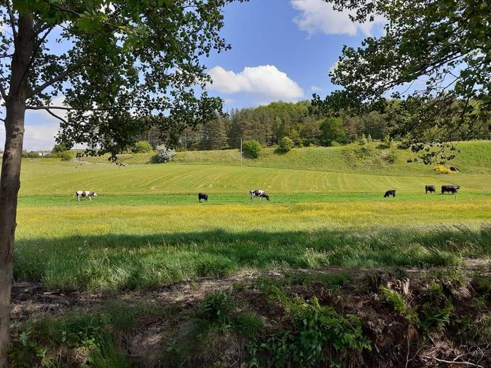 Domek letniskowy na Kaszubach w Gołubiu