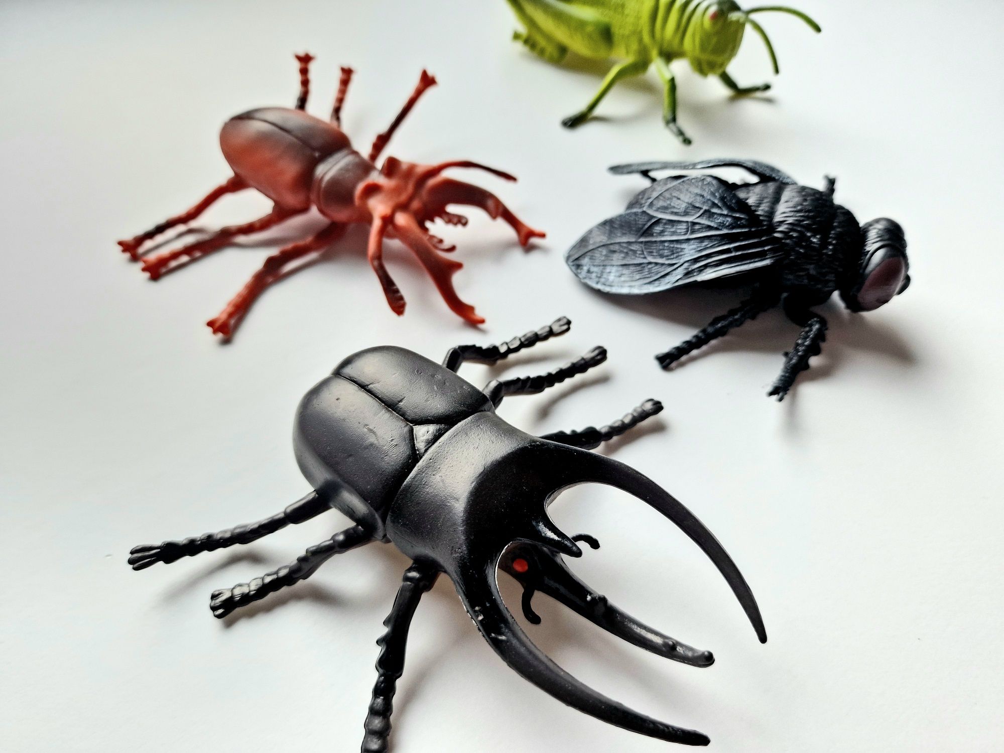 Zwierzęta owady insekty zestaw 4sztuk