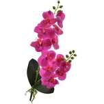 Storczyk orchidea gałązka dekoracja kwiat ozdoba