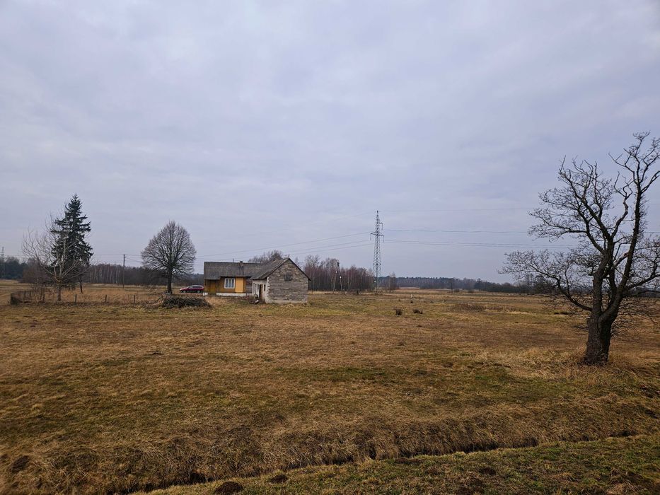 Siedlisko przy rzece Pilicy k. Koniecpola