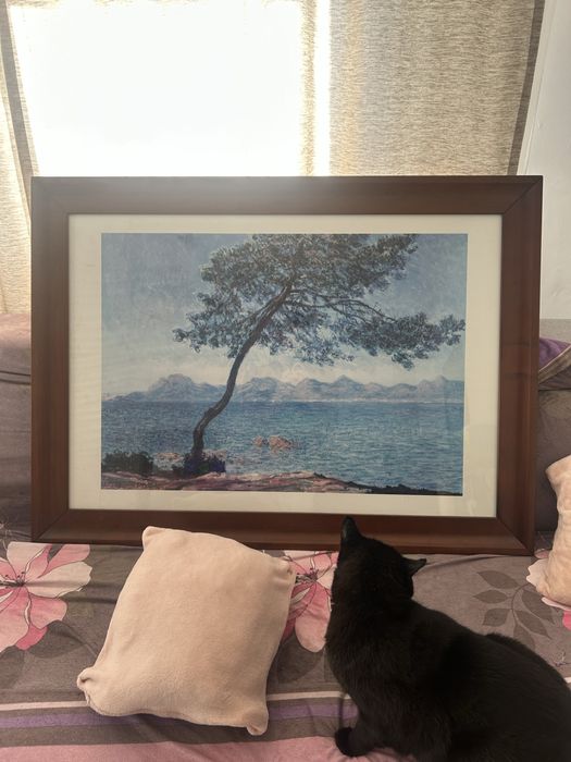 Obraz o wymiarach 113x83