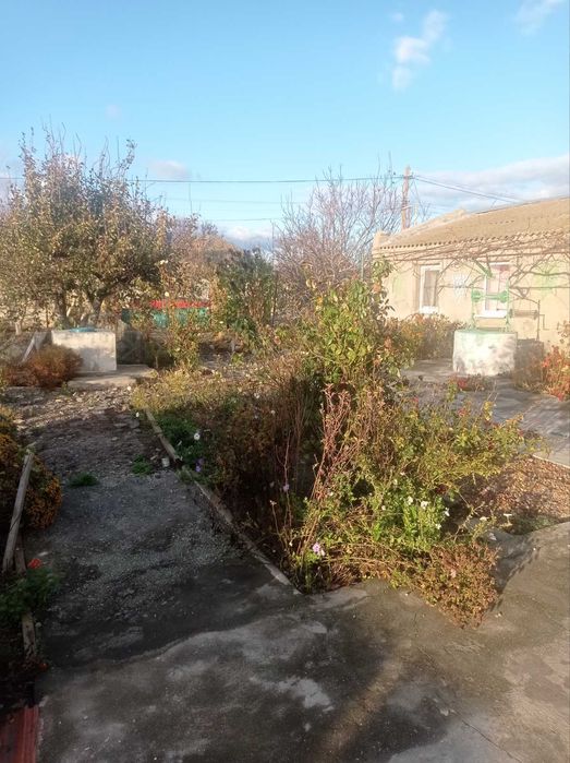 Продаю дім, Куцуруб