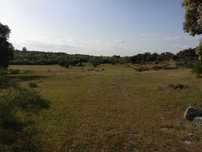 Terreno para venda em Nisa/Espírito Santo