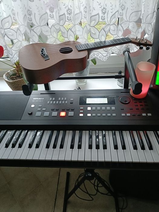 Nauka gry na instrumentach i prowadzenie imprez