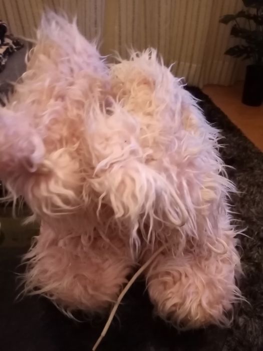 Botas Galop menina 35