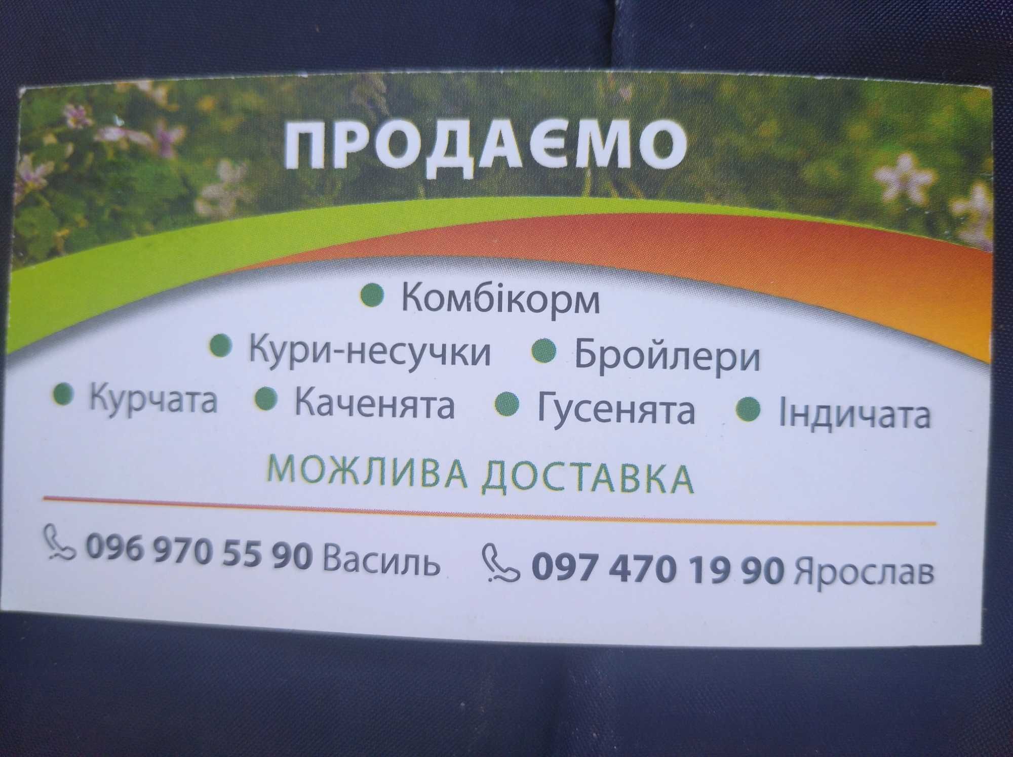 Продаж курей-несучок. Бройлерів. Качок. Гусей.