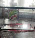 Sprzedam Terrarium