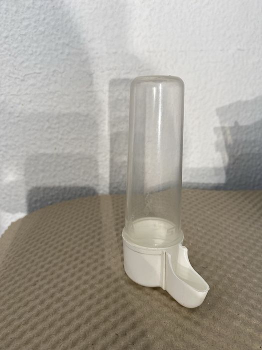 Bebedouros para aves