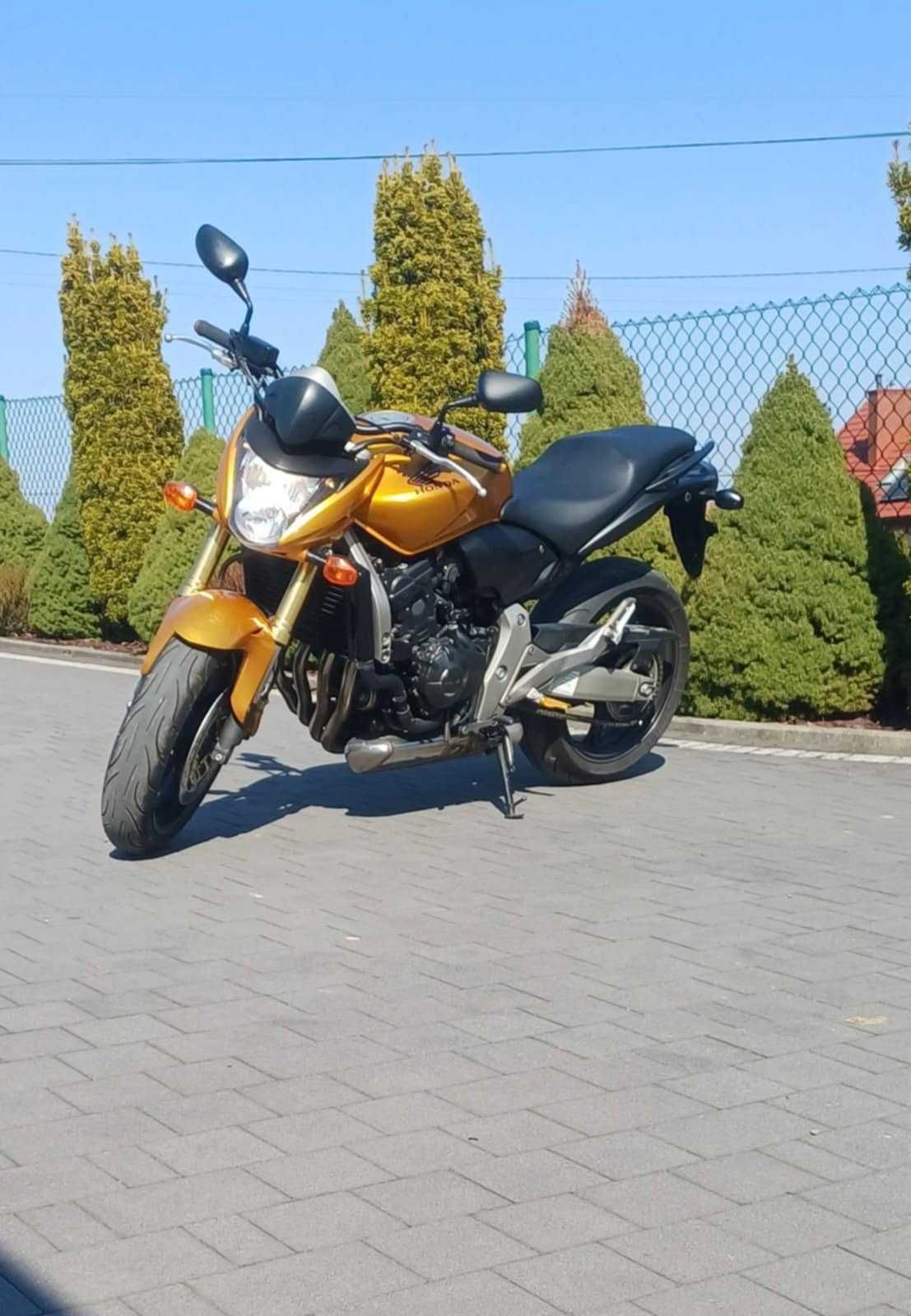 Oględziny/Inspekcja/Pomoc w zakupie motocykla/Doradztwo/Transport