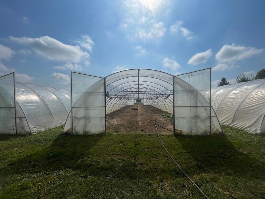 Tunel foliowy - WZMACNIANY - wymiary:  30m x 7,6m x 3m