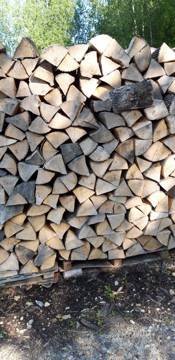Suche Drewno kominkowe Tychy