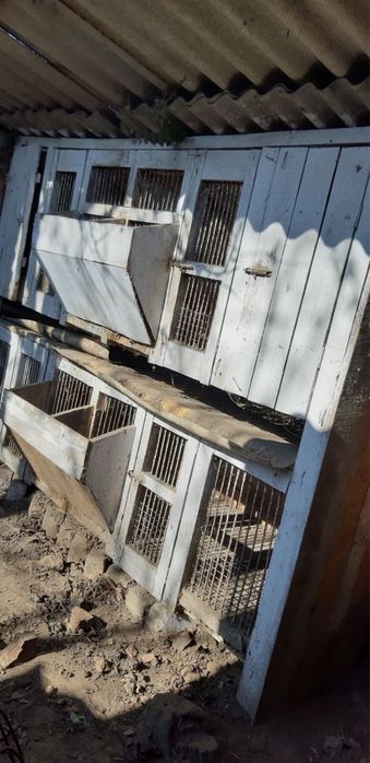 Клетки для кролей